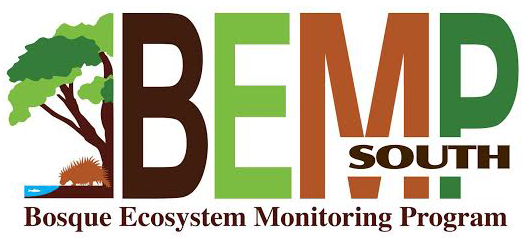 BEMP Logo