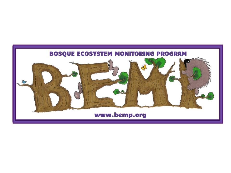 BEMP's New Address... - BEMP