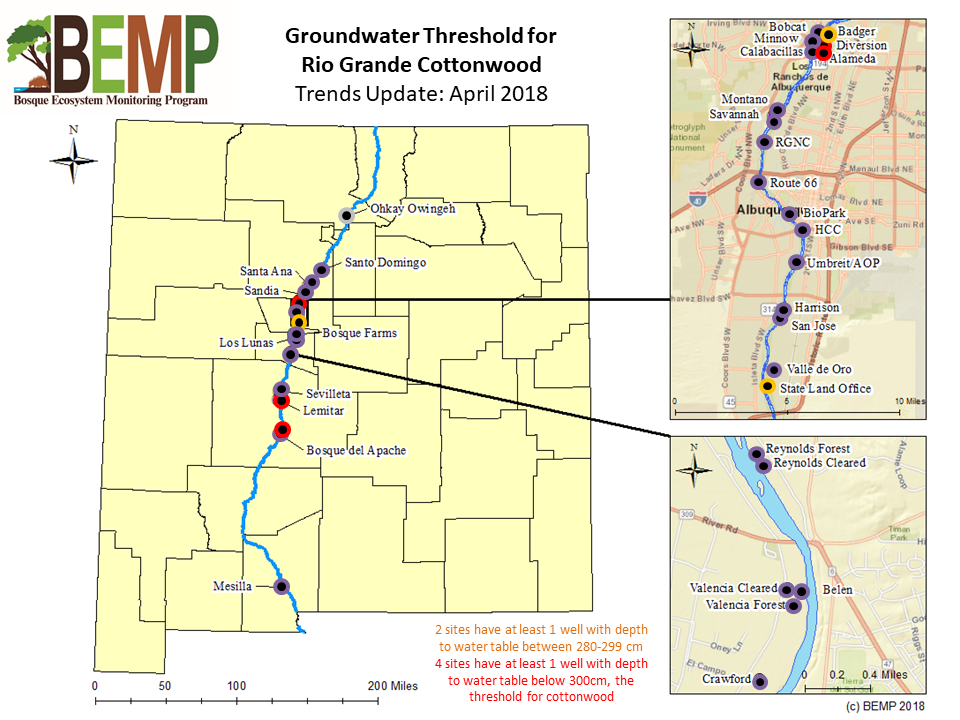 Groundwater Threshold for Rio Grande Cottonwood April 2018