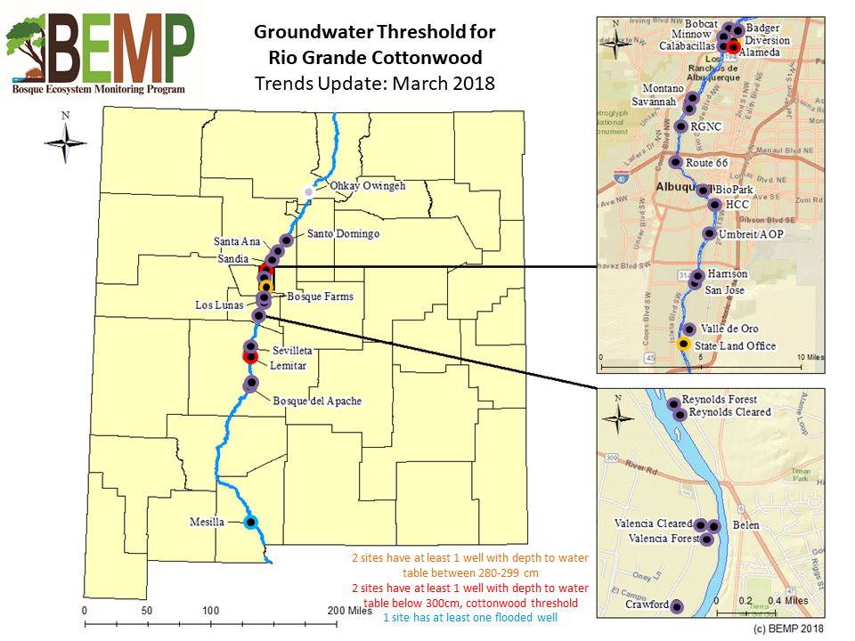 Groundwater Threshold for Rio Grande Cottonwood March 2018